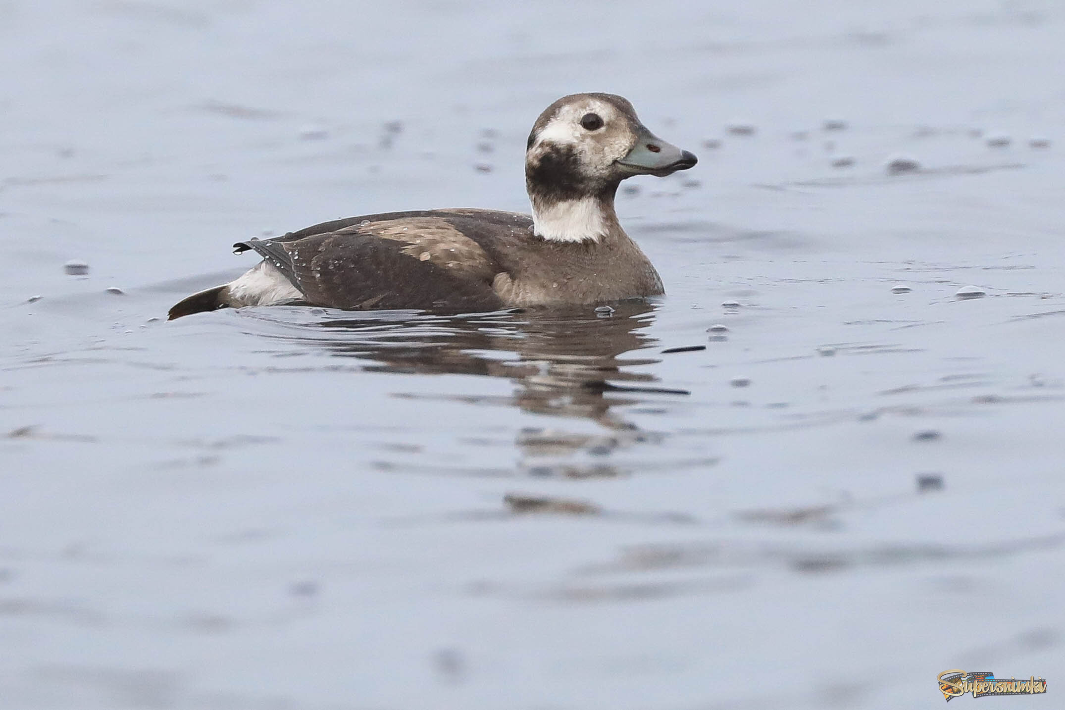 Девушка в пузырьках