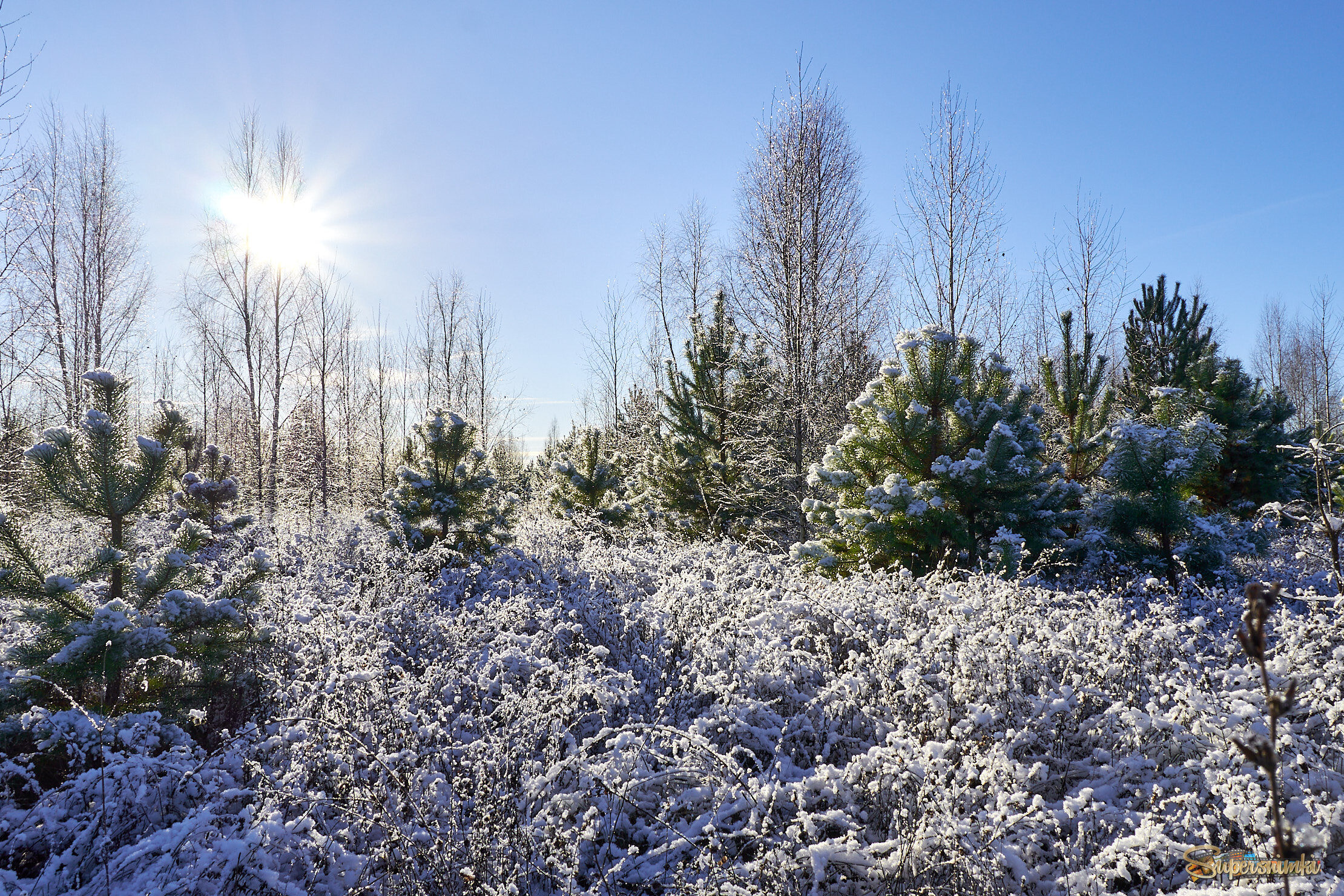 Первый снег 