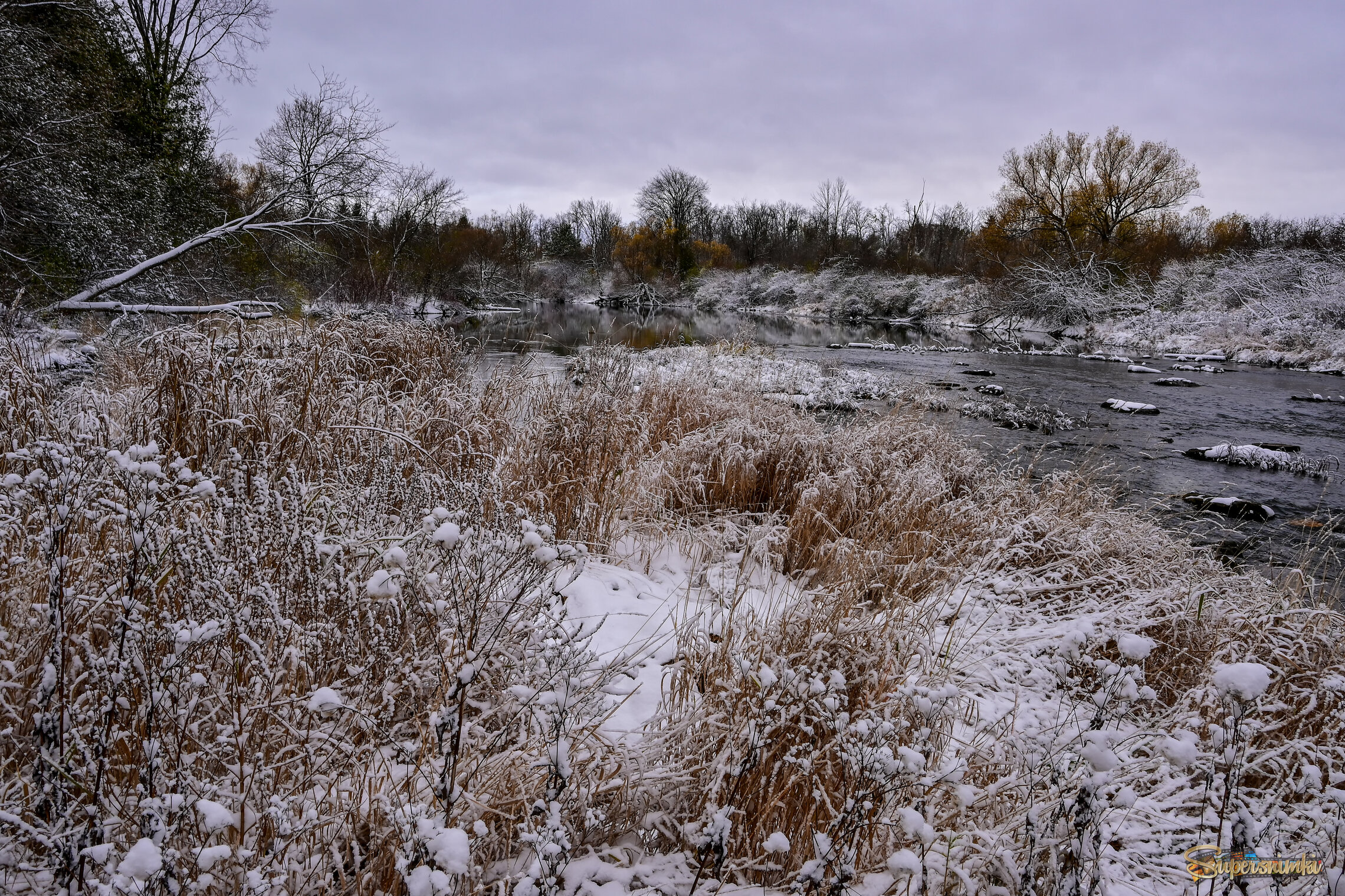 Кудреватые берега