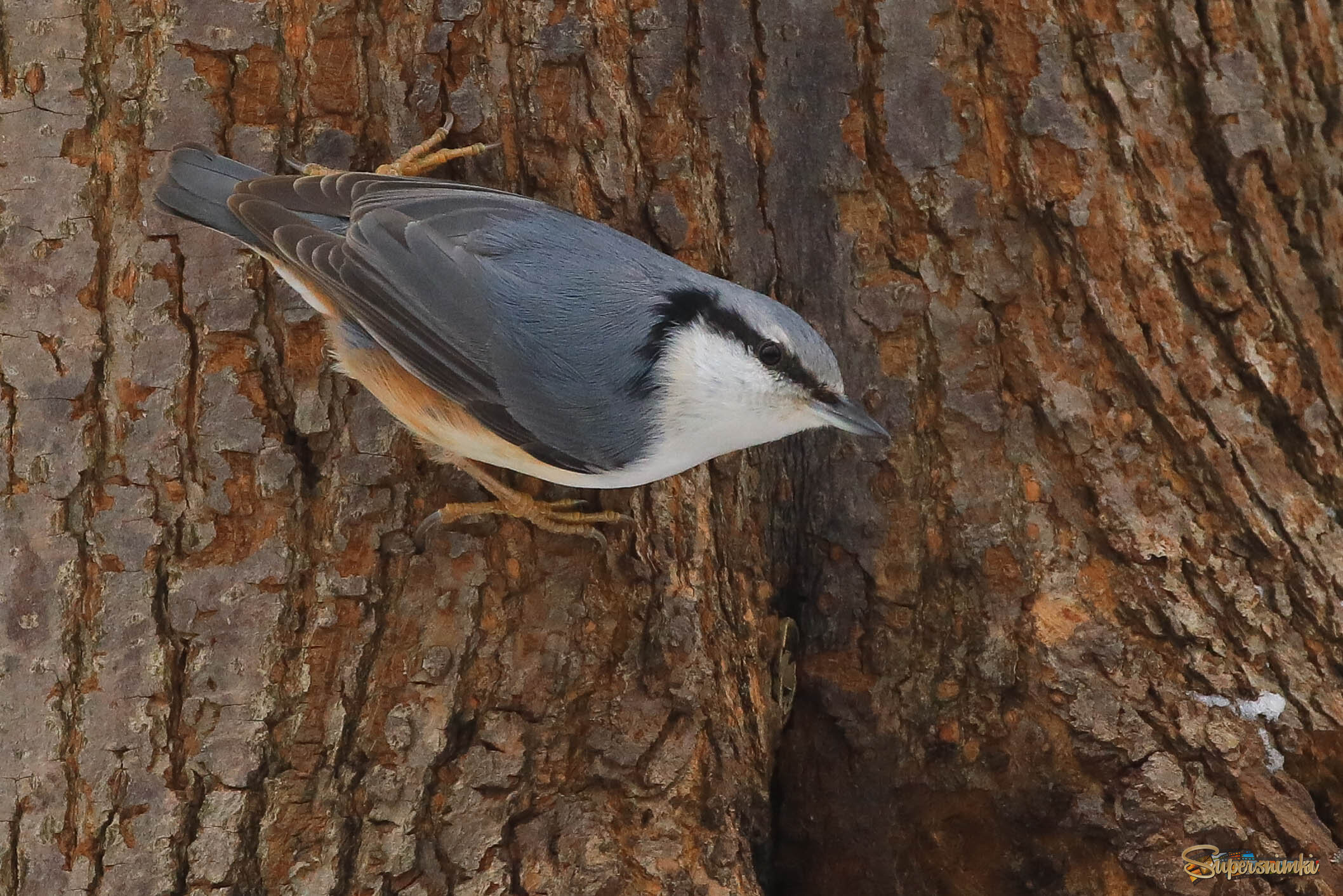 Не только вверх и вниз...