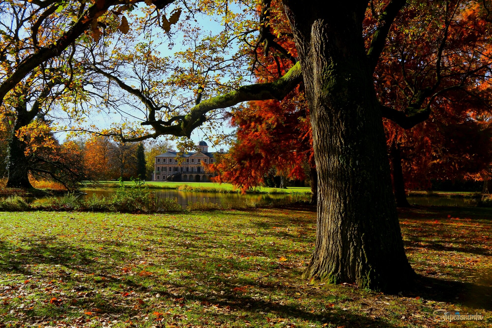В парке замка "Фаворит"