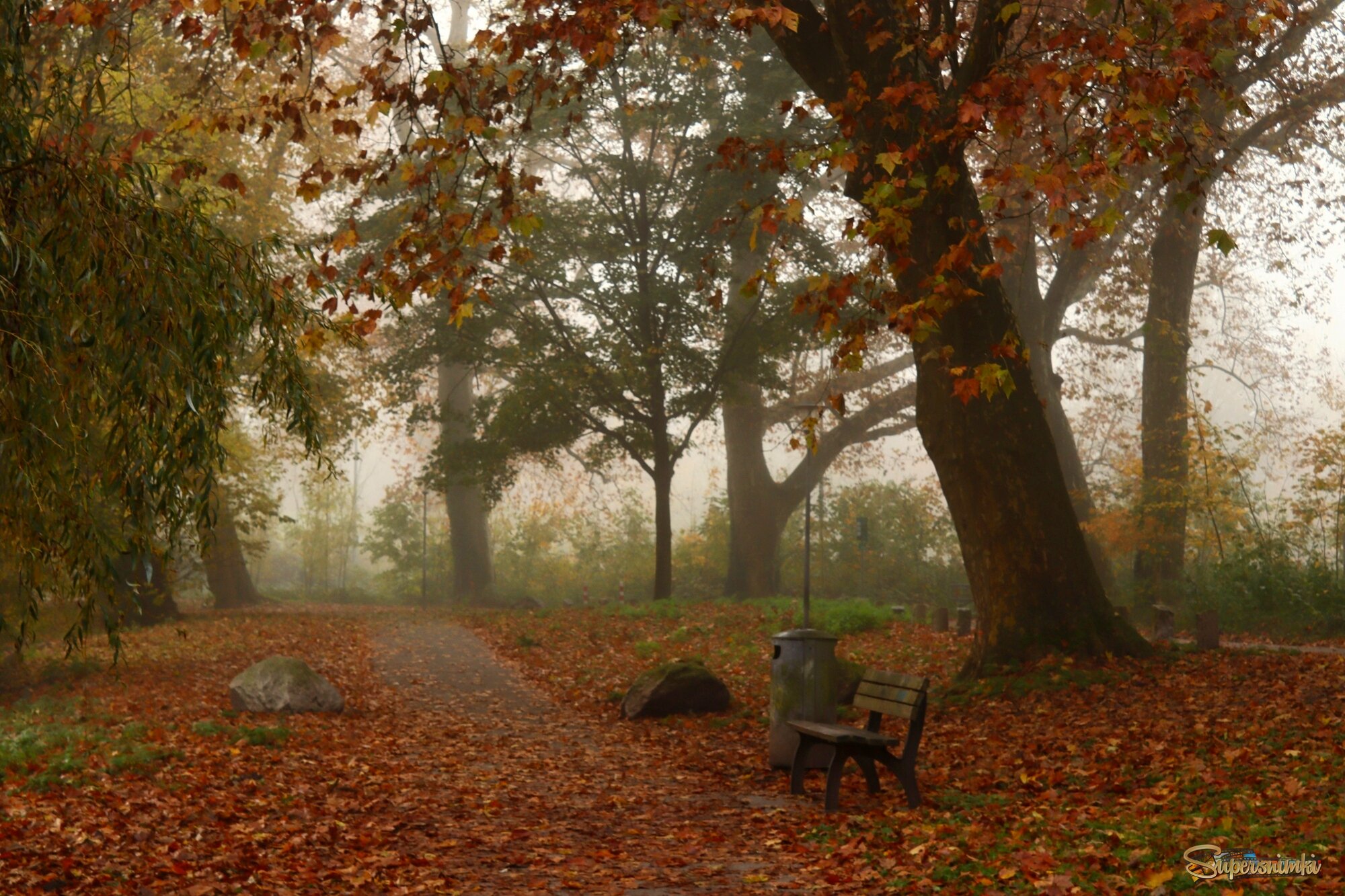 Осенний парк опять зовёт меня,лежит туман в желтеющей глуши.