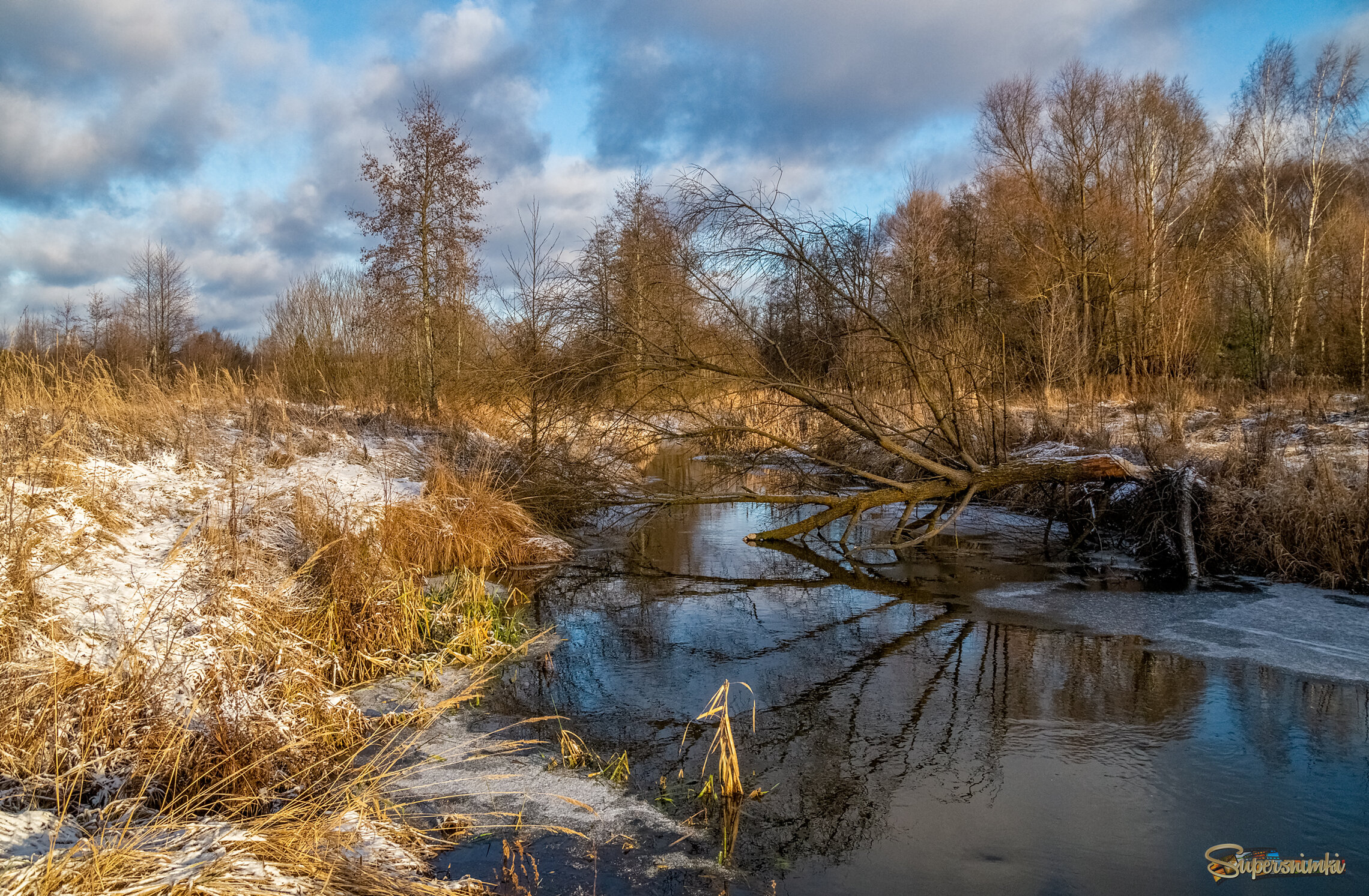 Подмосковный декабрь 2