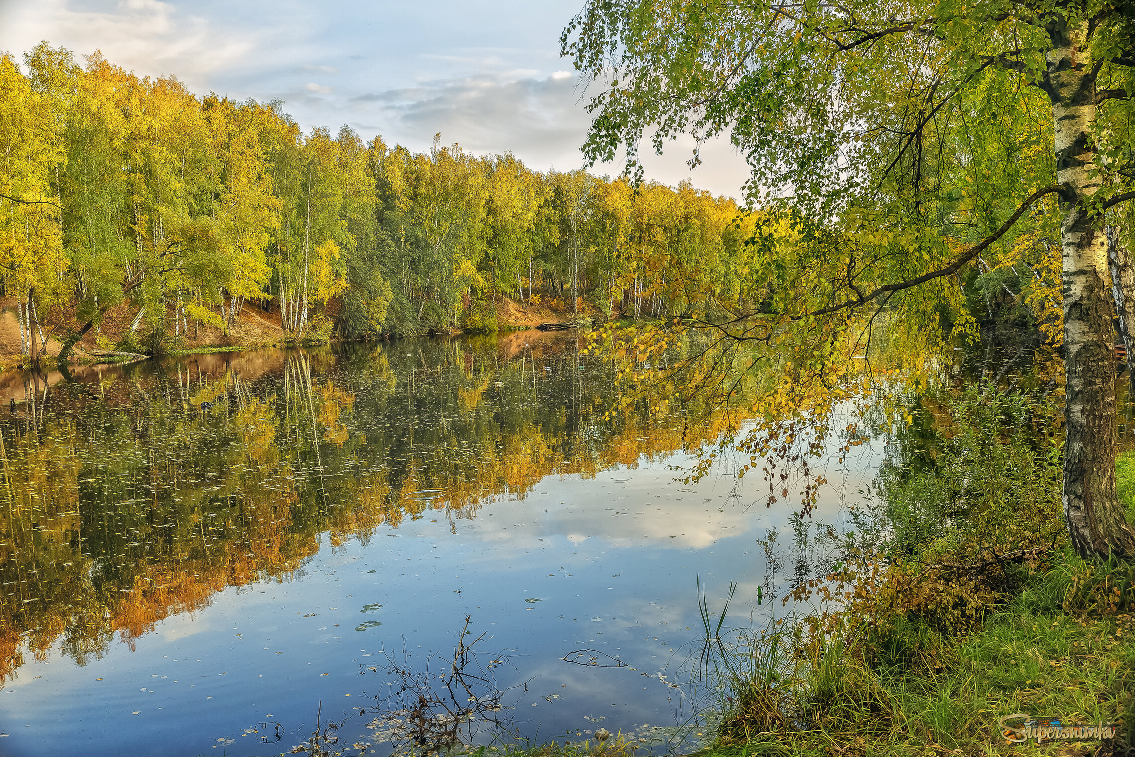В осеннем лесу..