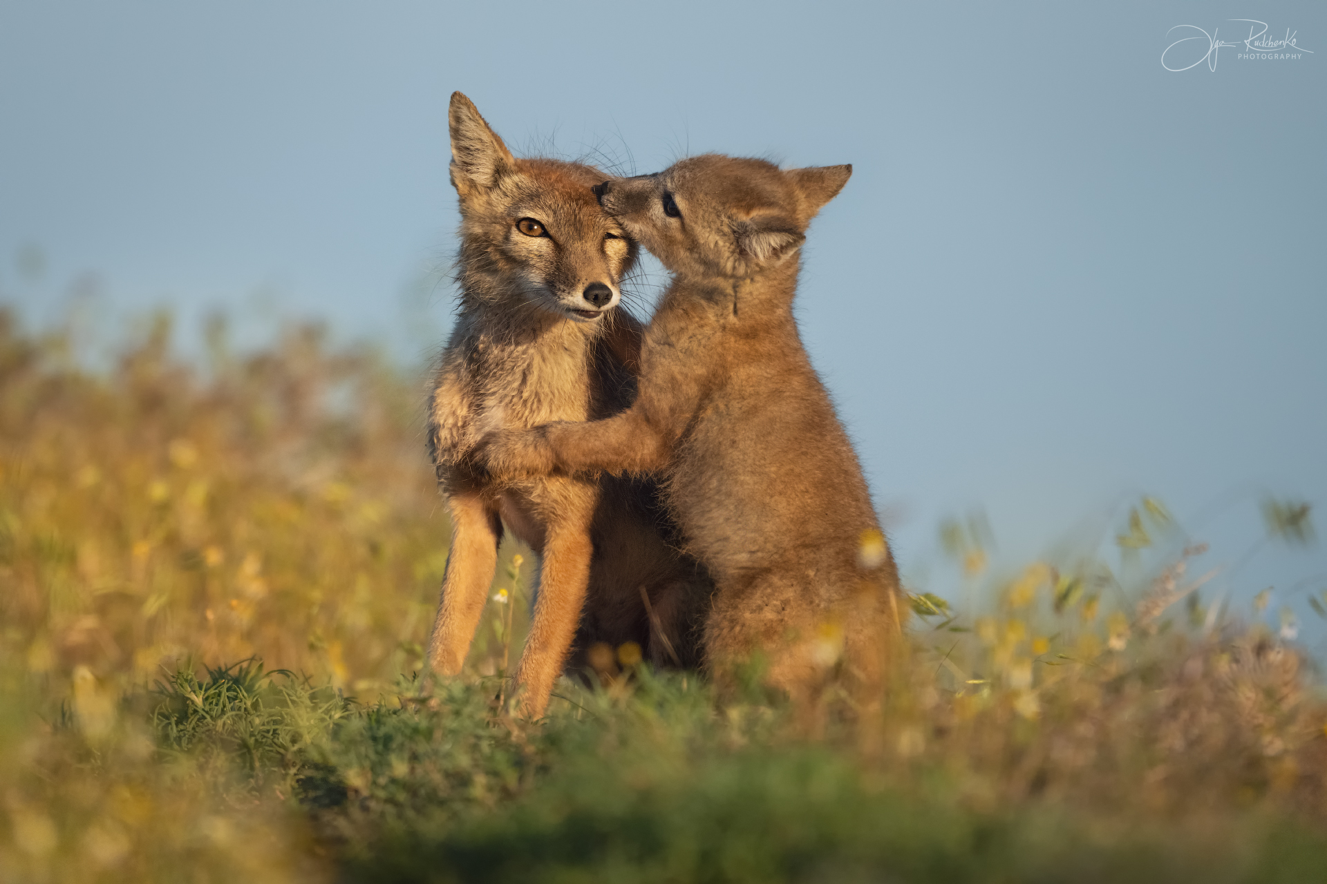 Понять и простить