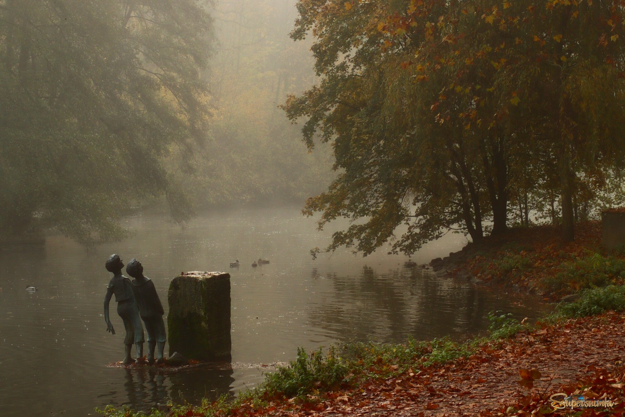	 Старый парк покрыт туманом