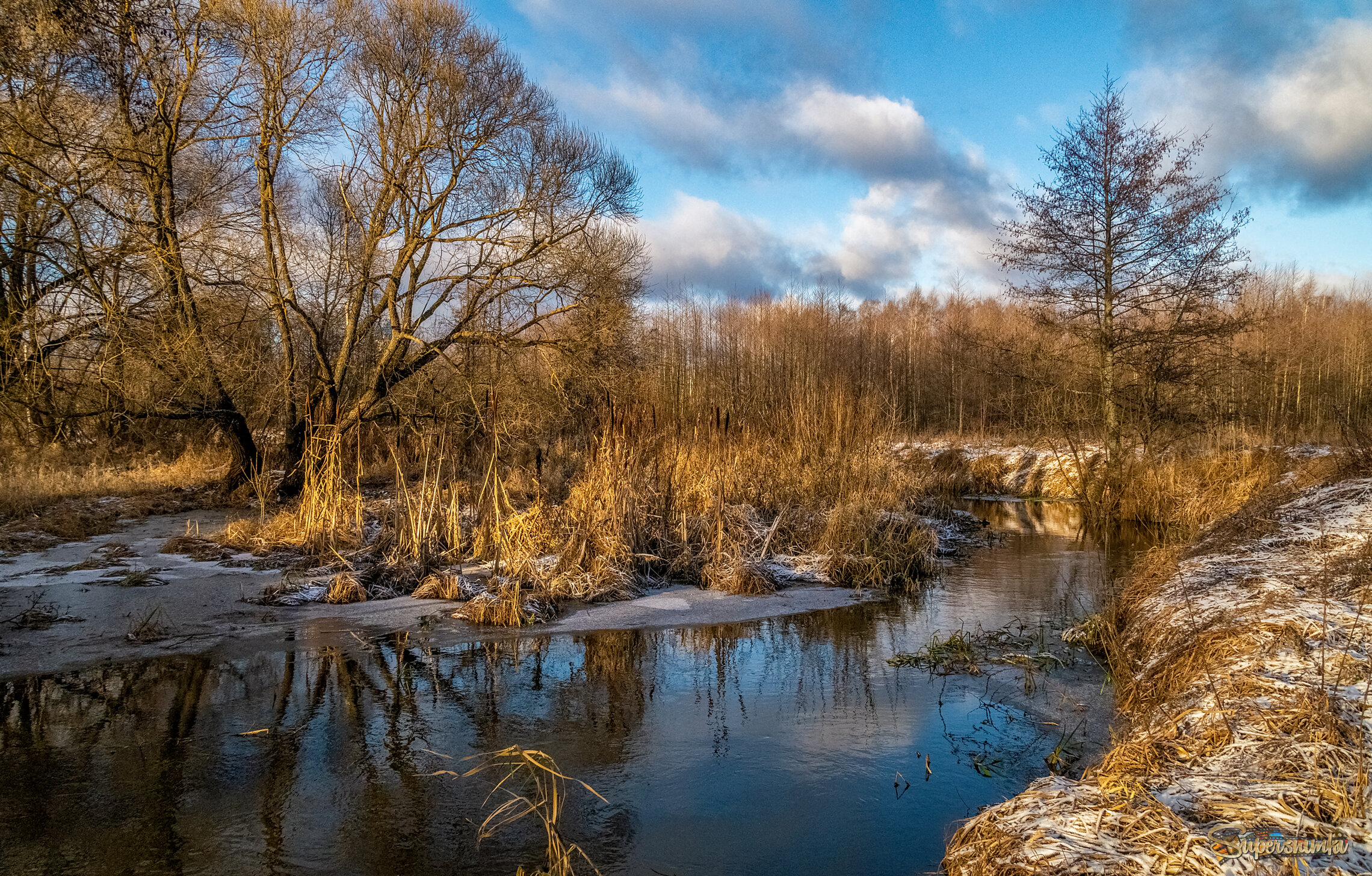 Подмосковный декабрь 3 