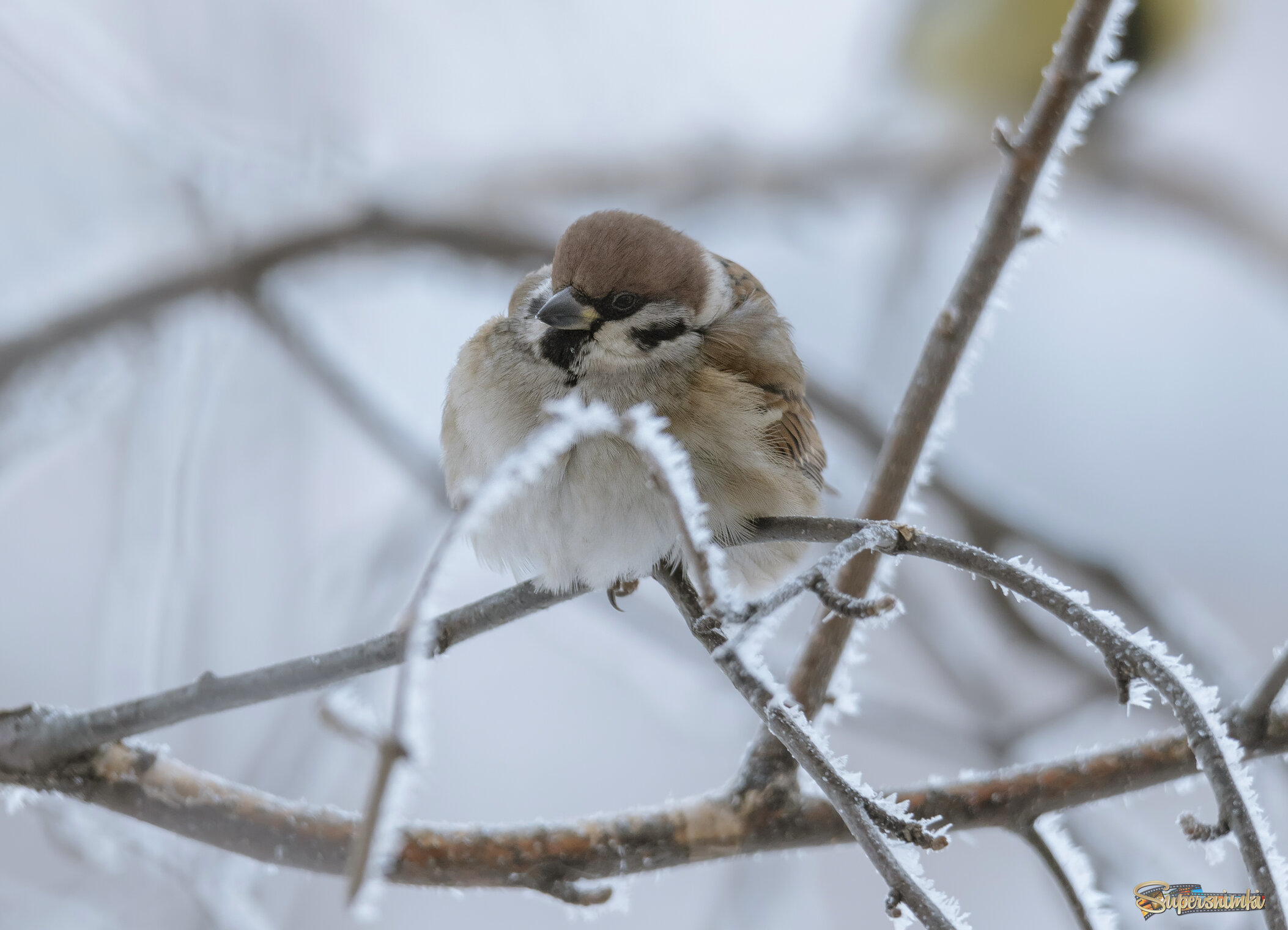 ЧТО ЖЕ ТАК ХОЛОДНО!