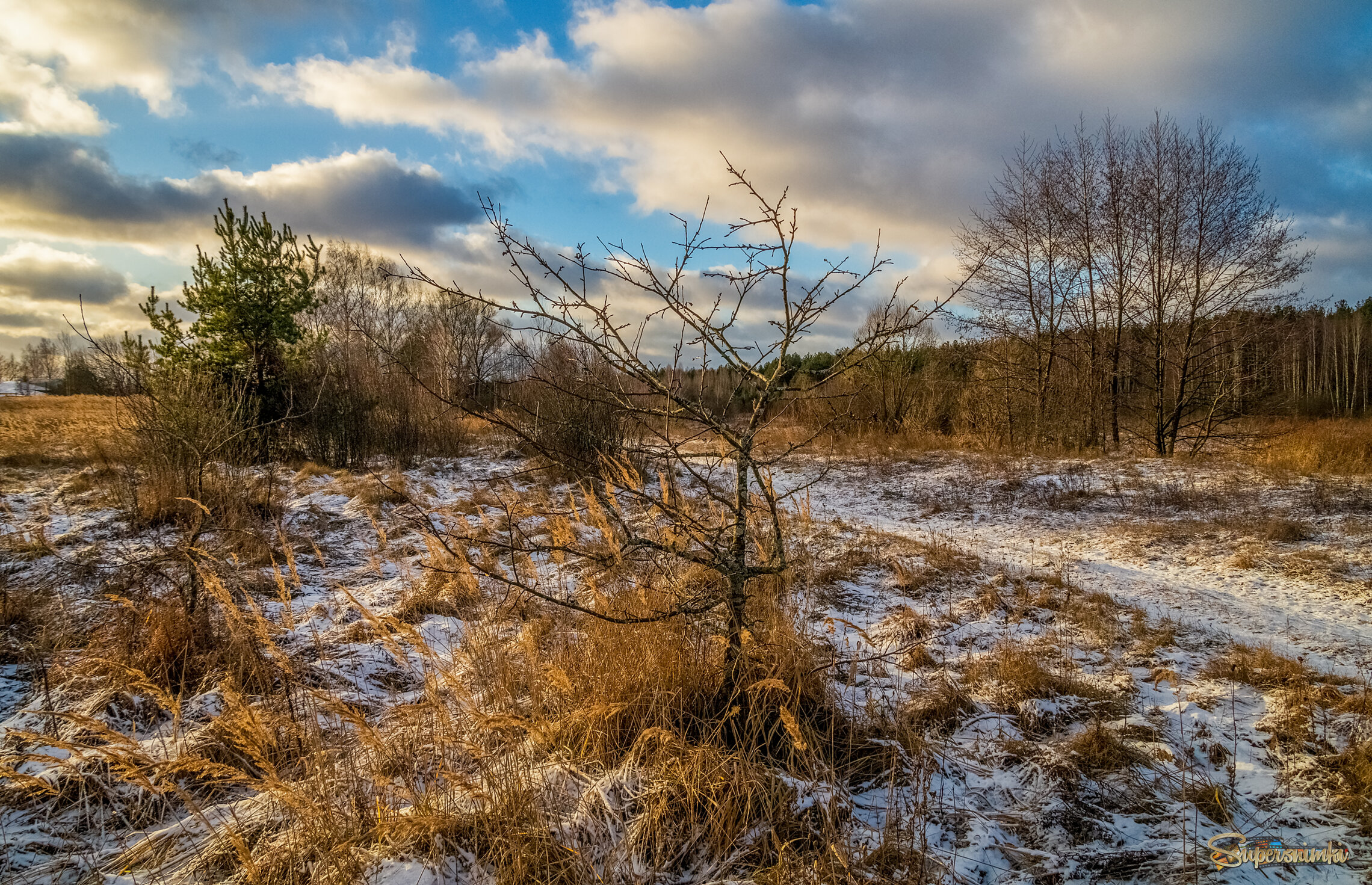 Подмосковный декабрь 5 