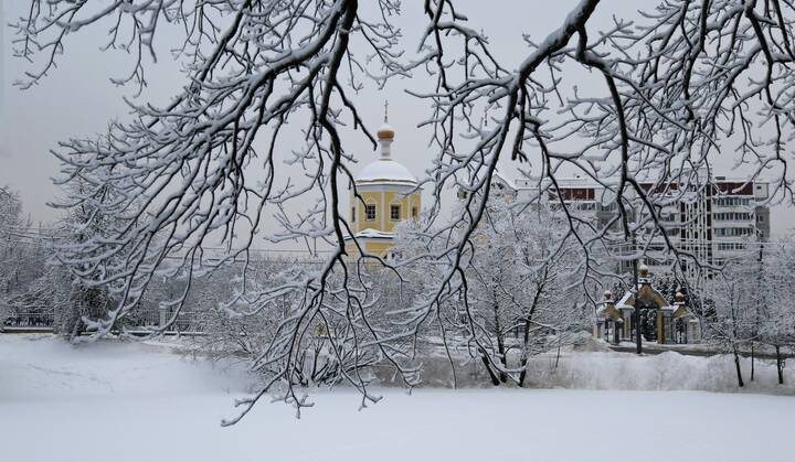 Зимняя красота