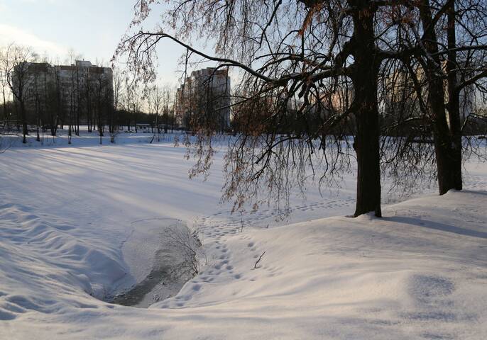 Следы