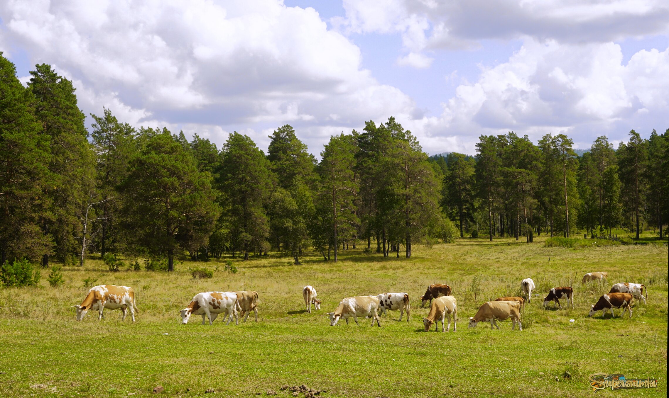 Башкирская пастораль