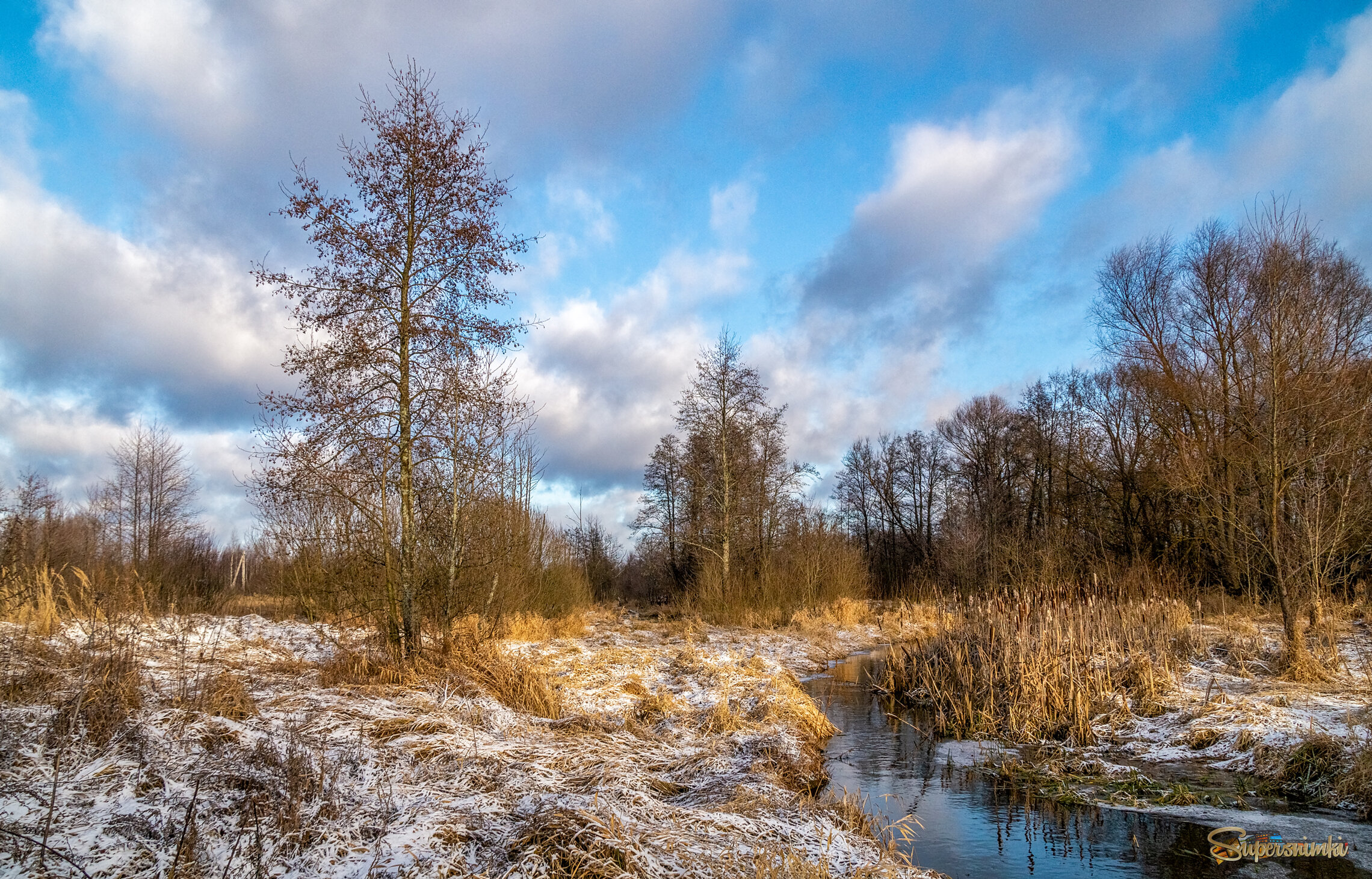 Подмосковный декабрь 4