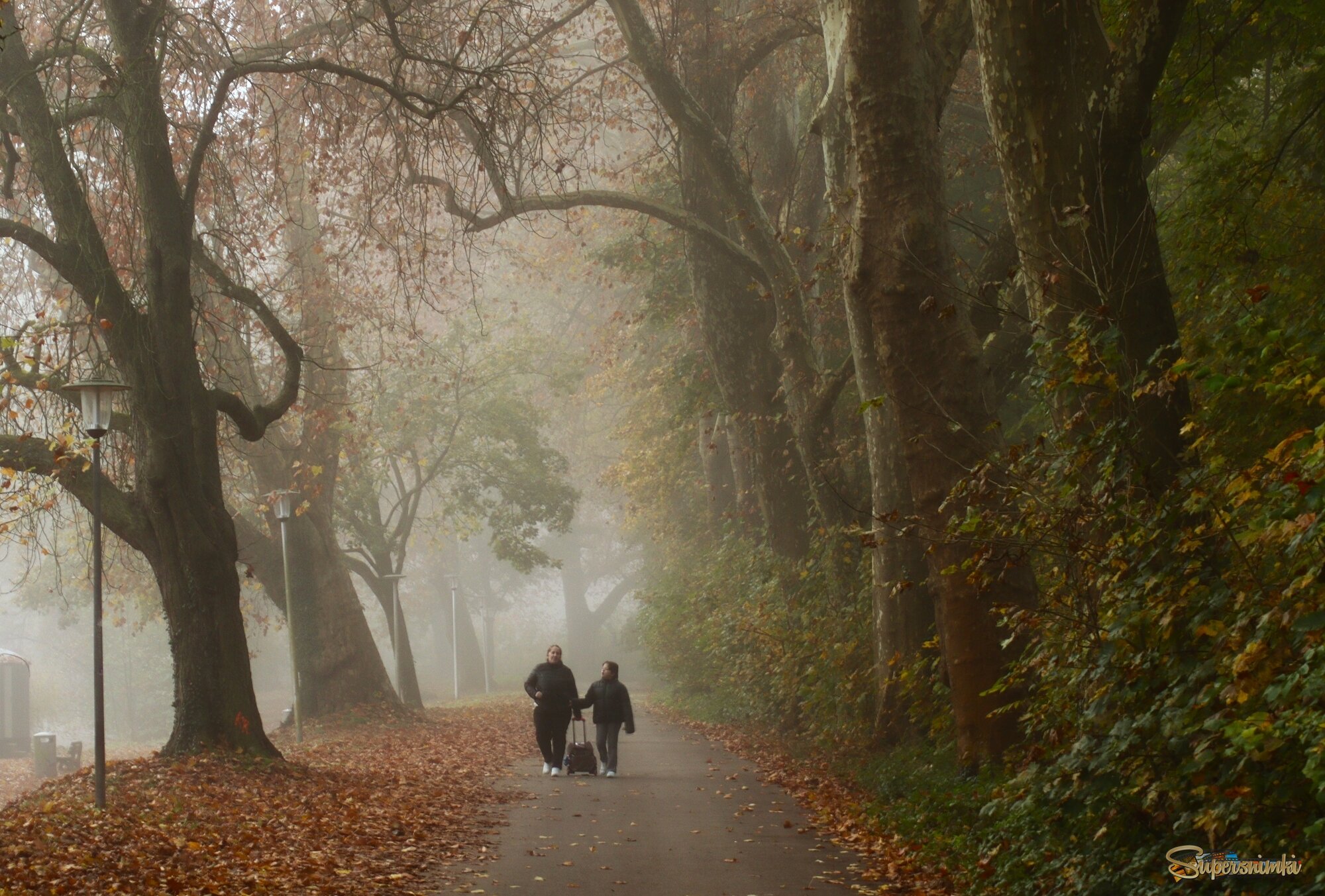 6941937741b4a47babaea858