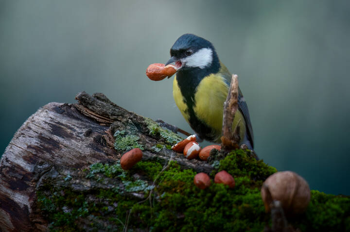 Кажется я удачно зашёл ...
