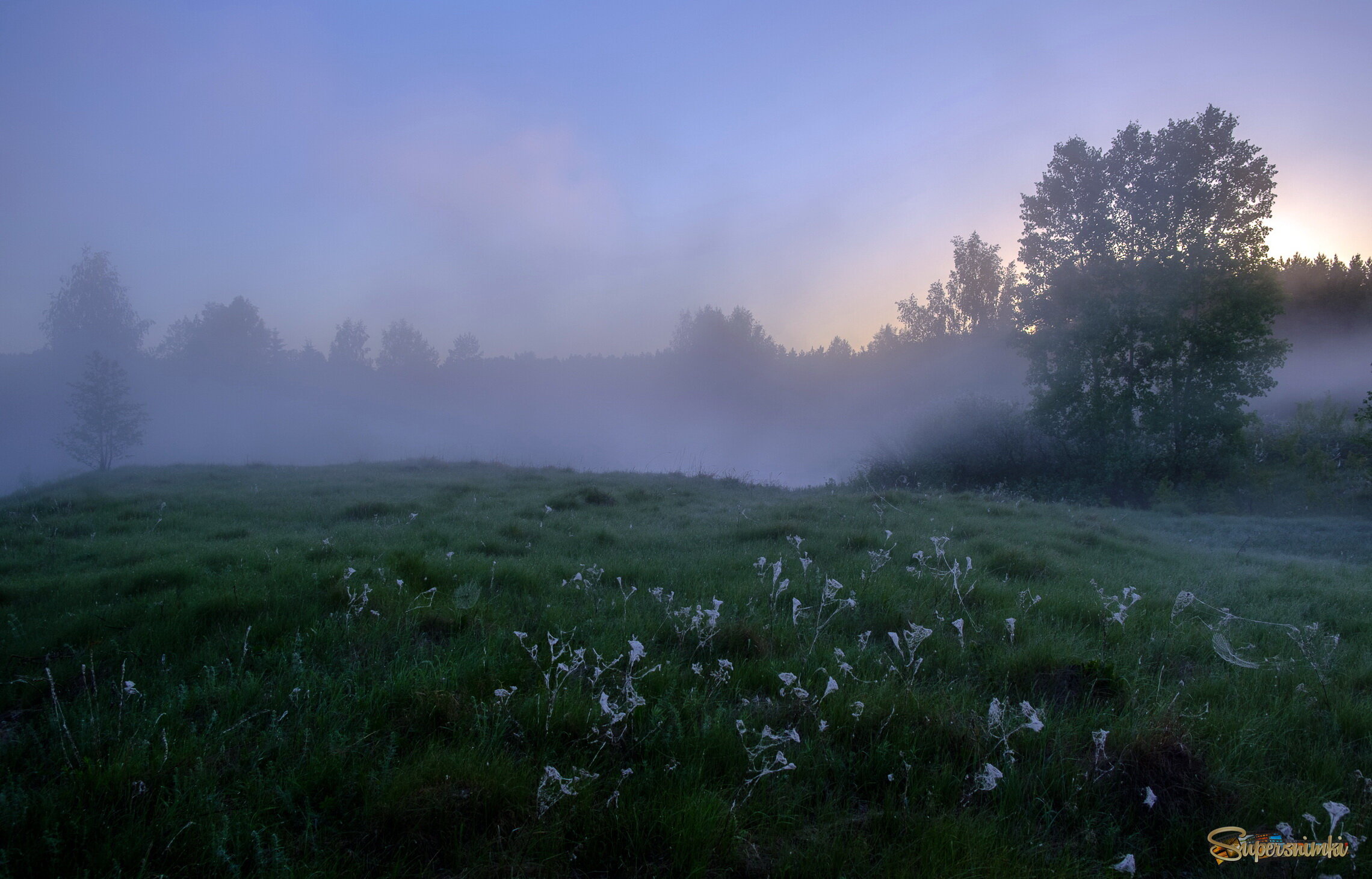 Тихое майское утро