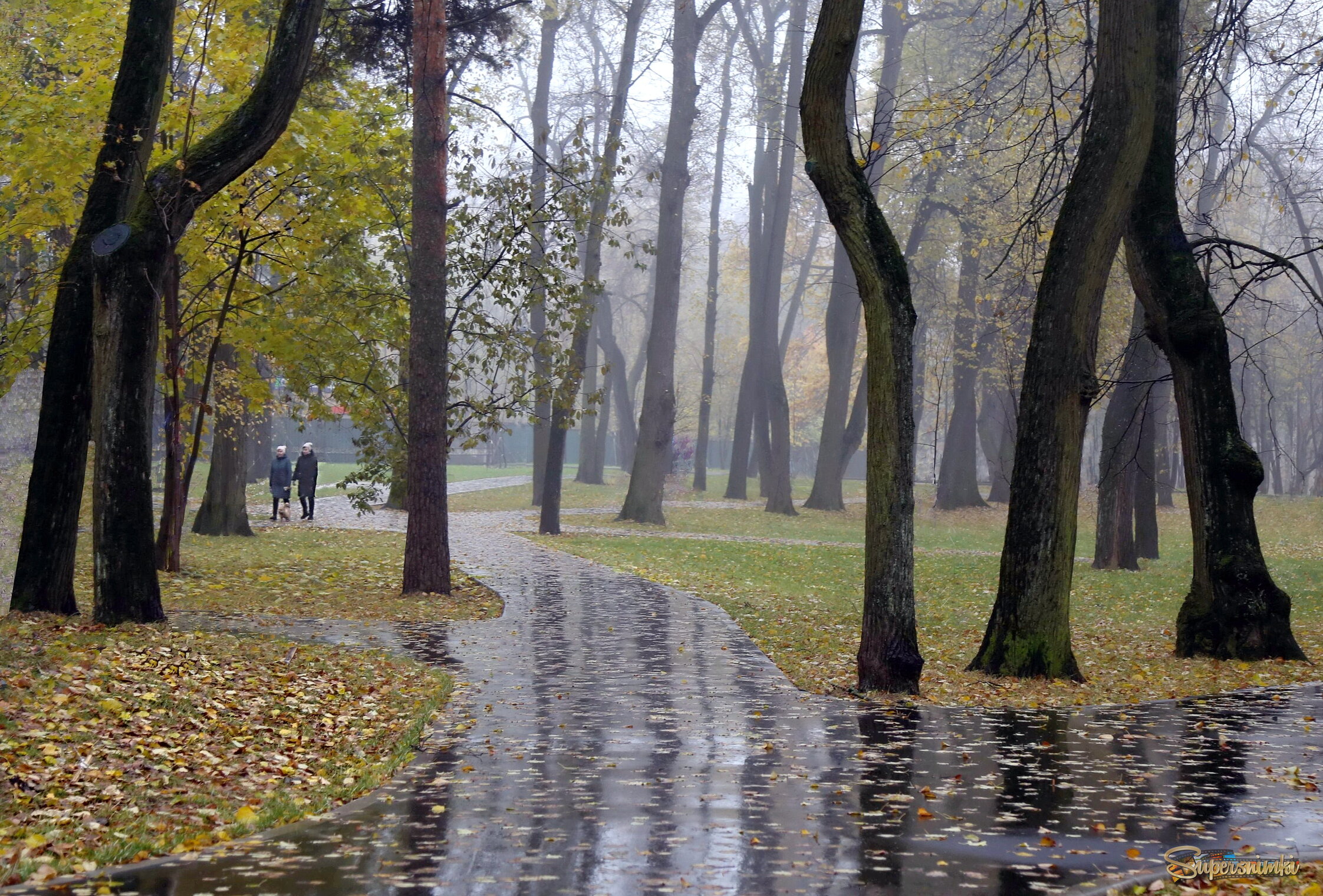 Осенние прогулки