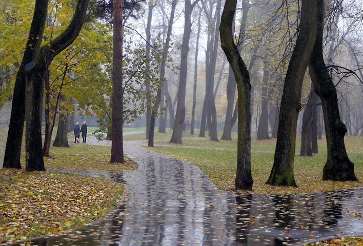 Осенние прогулки