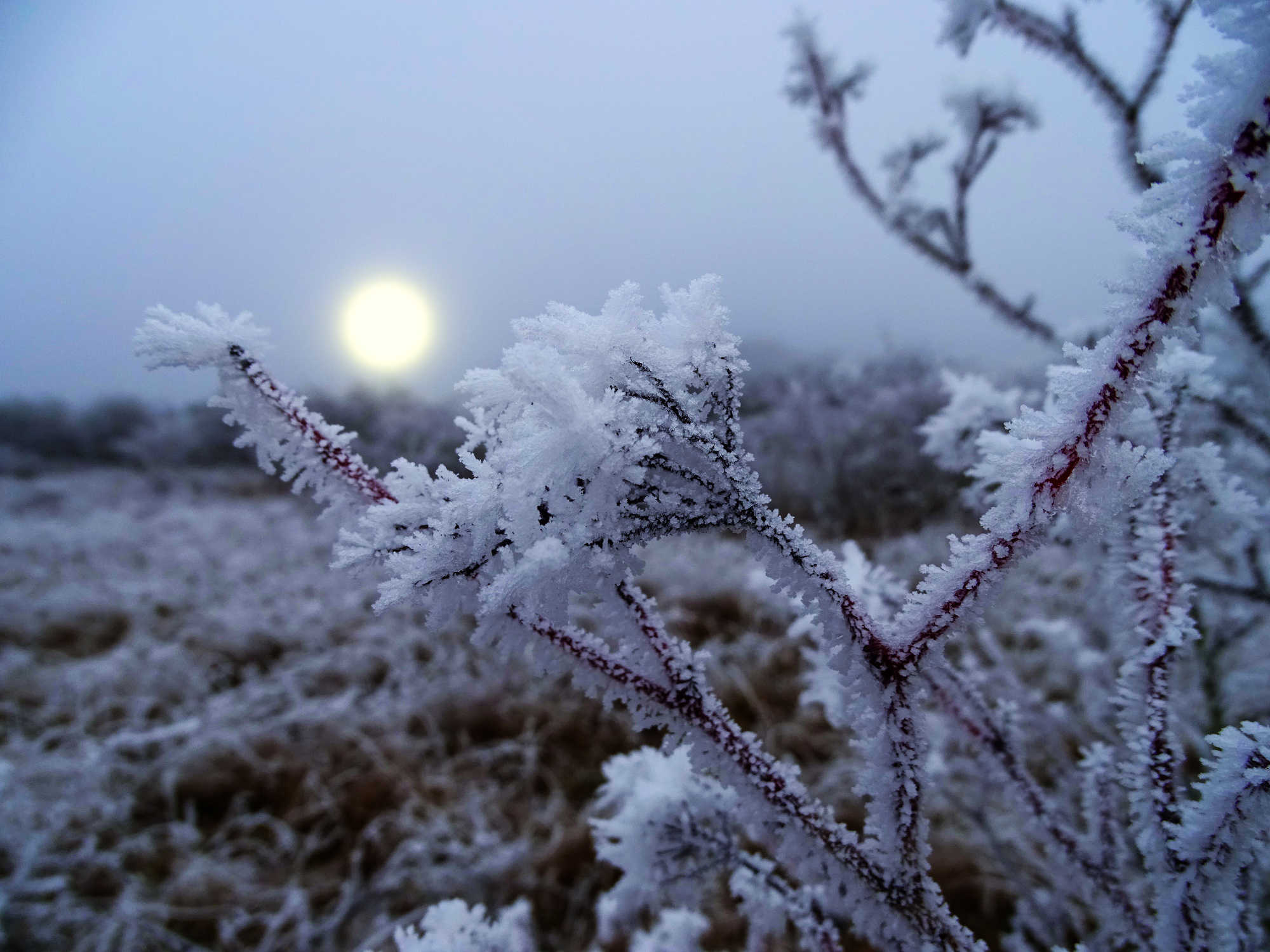 Мороз крепчал.