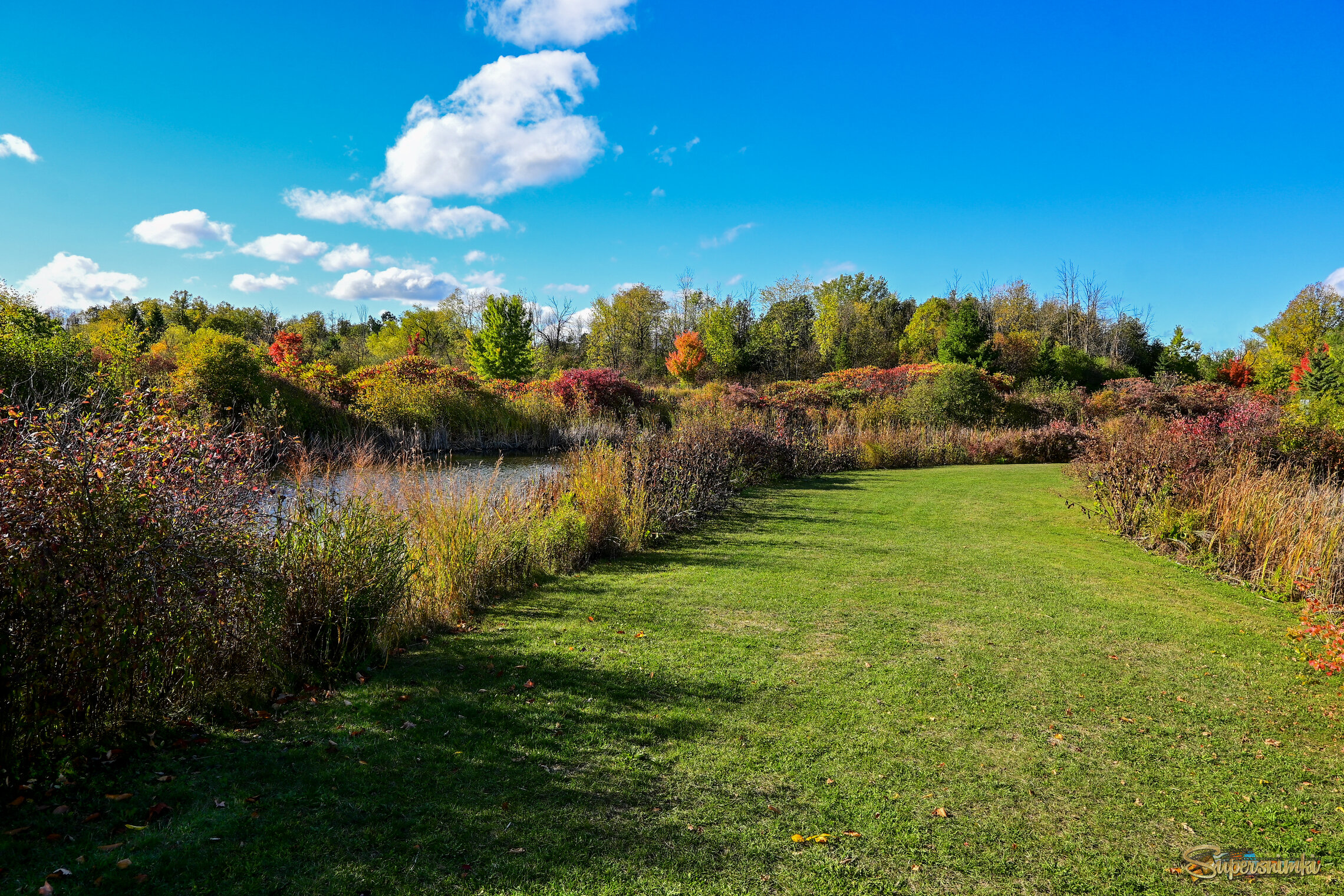 Пока трава была зелена