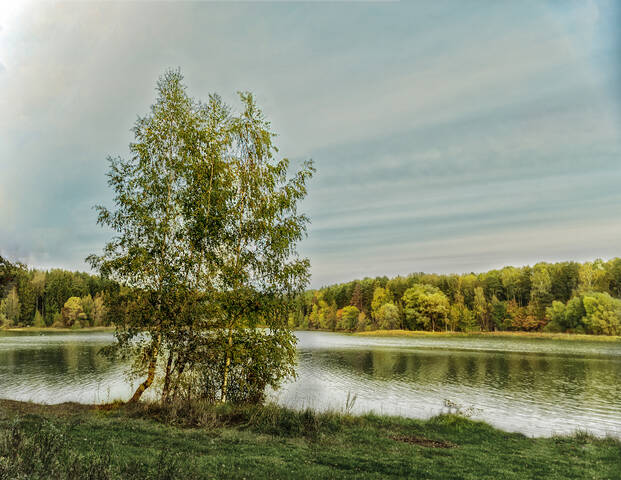"Стоит береза над рекой,,,"