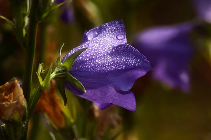 Доброе утро