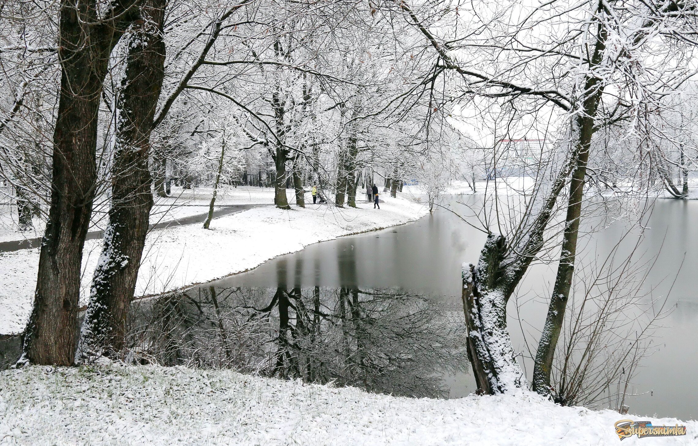 С белым снегом