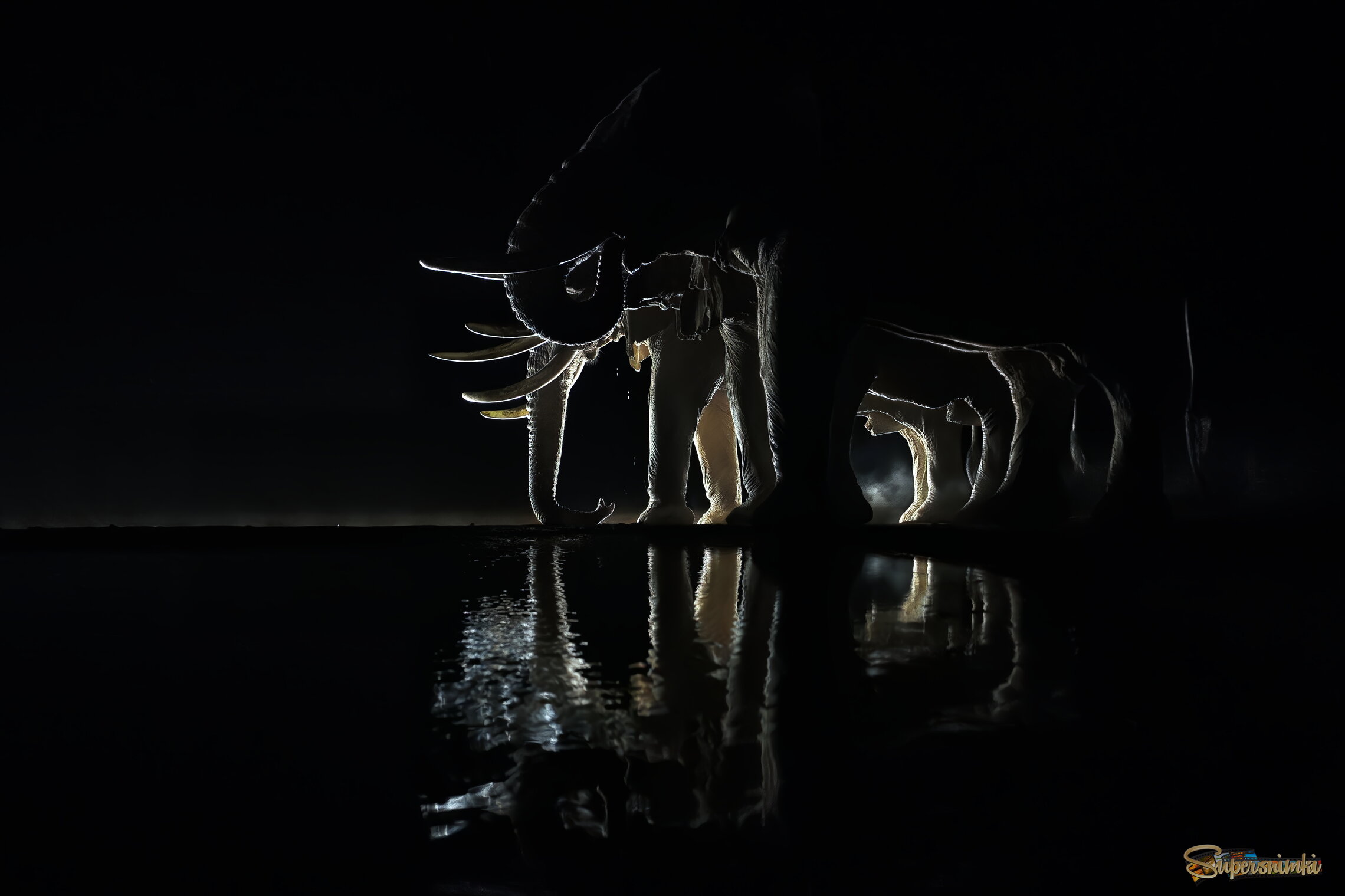 Ночное построение