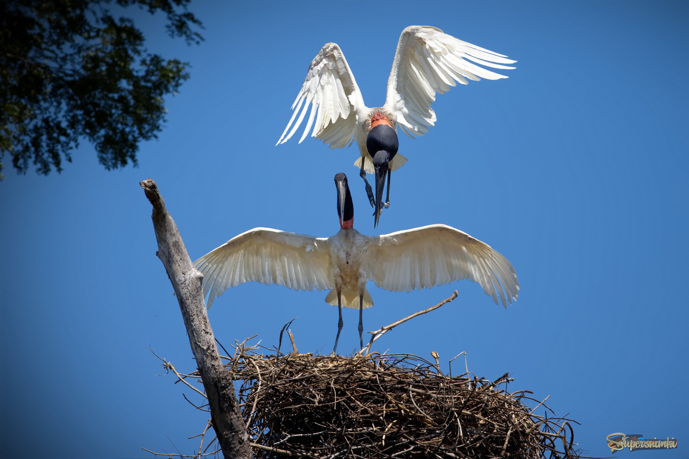 Потанцуем!?