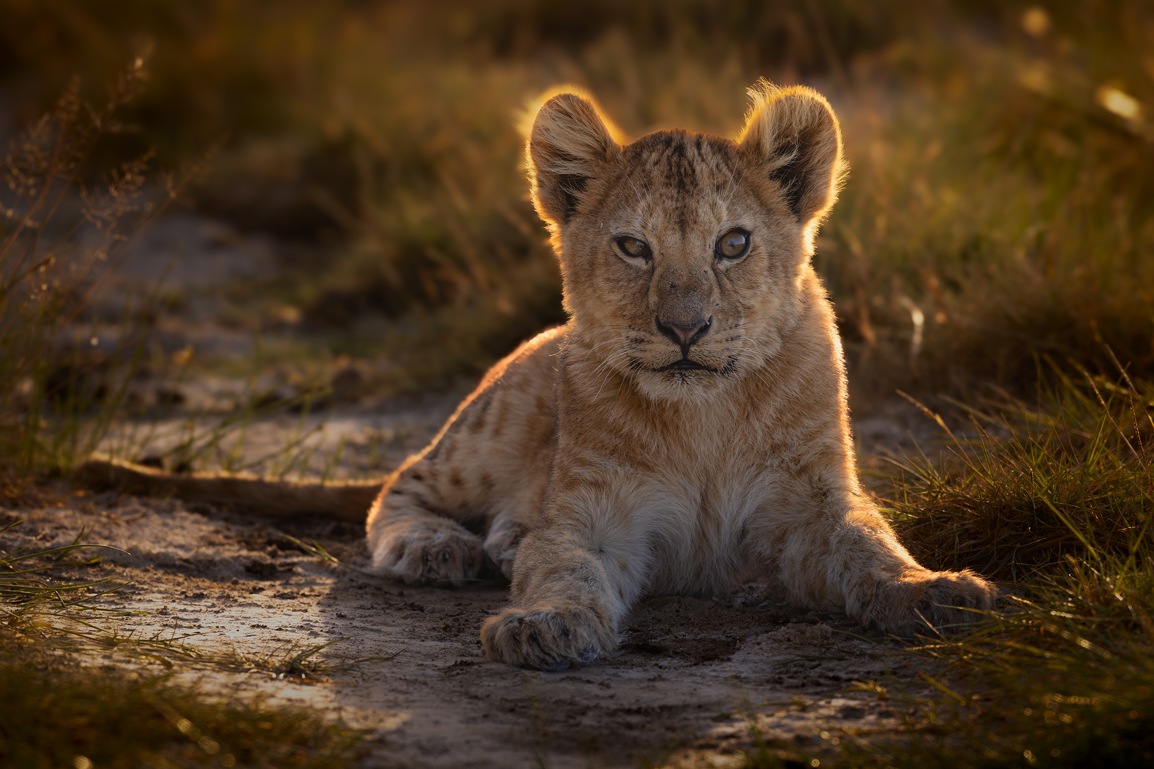 Серьезный малый