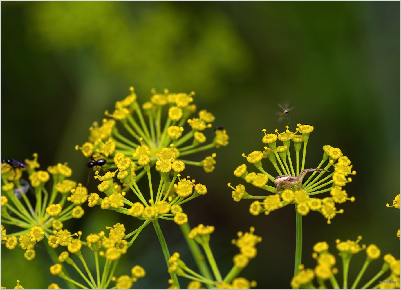 А за спиной кипела жизнь...