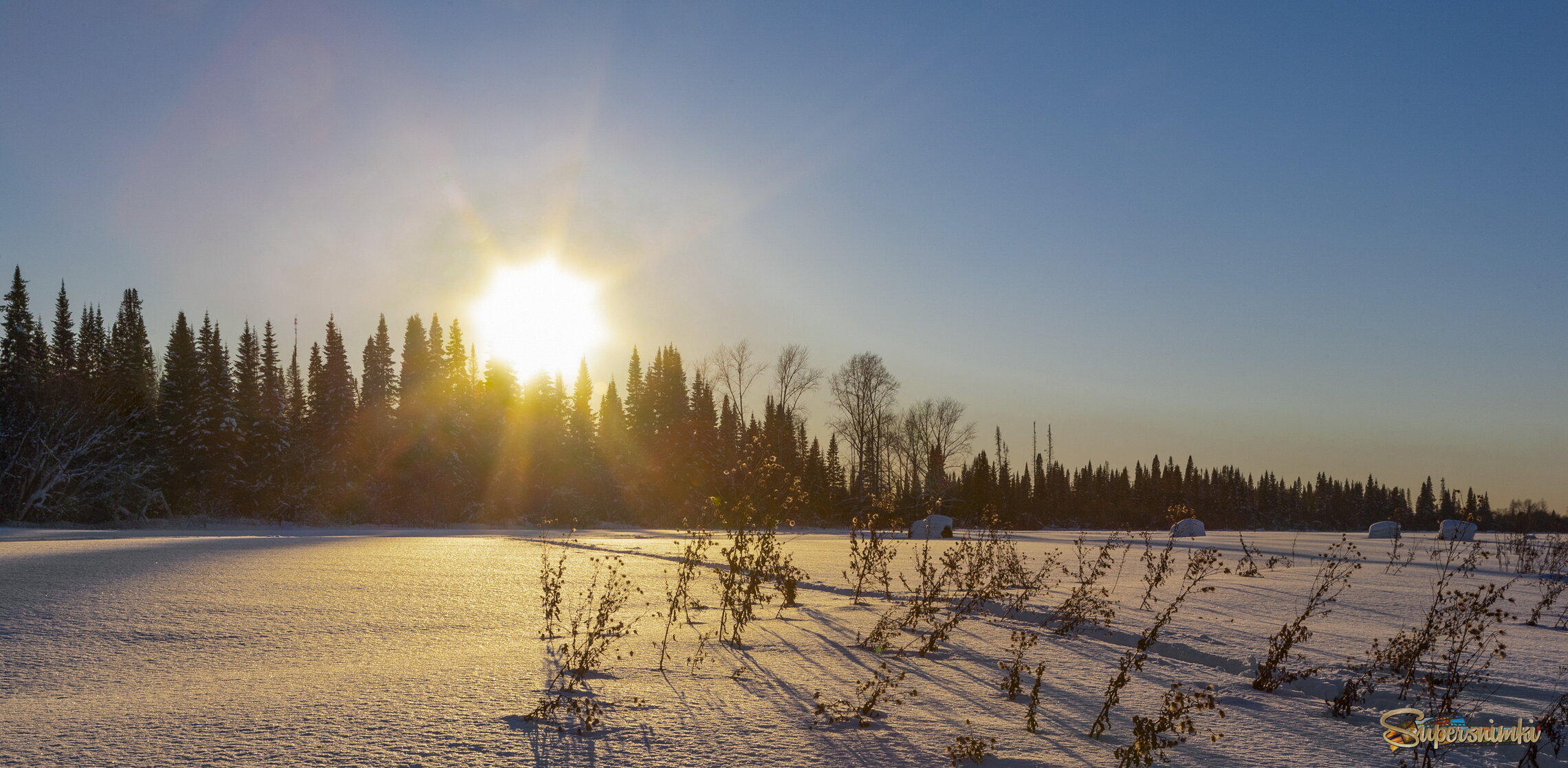 Шагает солнце в поле.