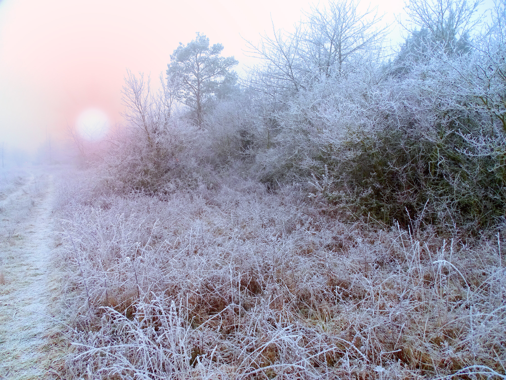 Морозное утро.