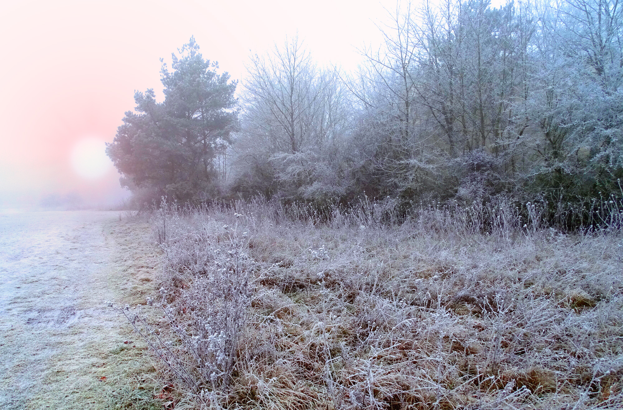 Морозное утро.