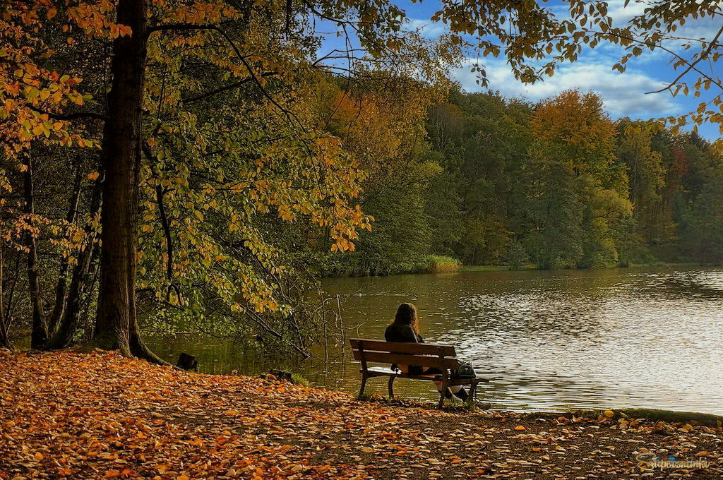 6944d55e6ff26fa1e2011ca6