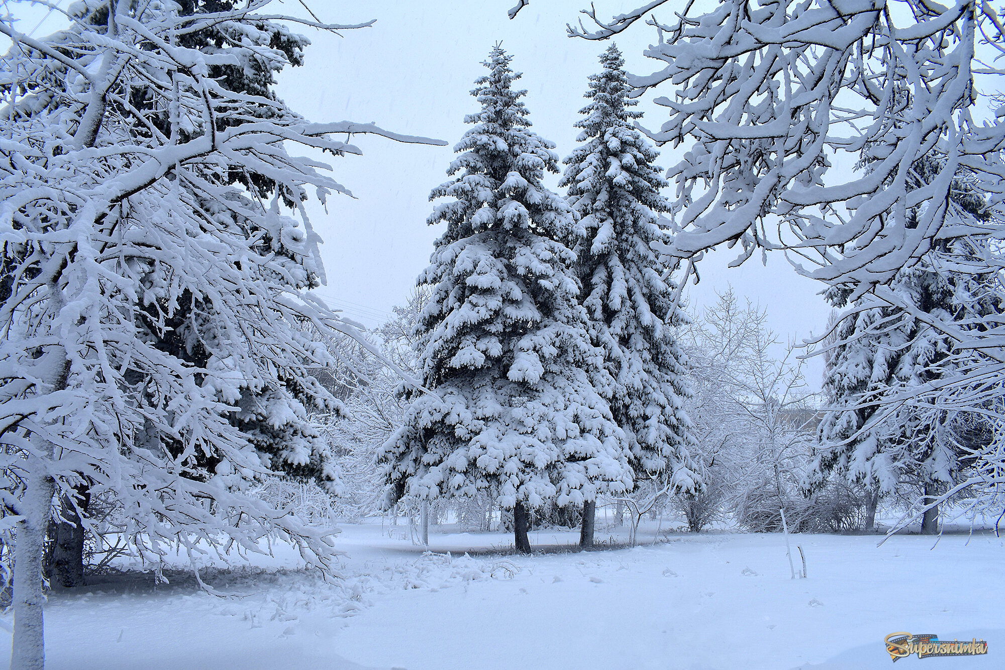 Снег-то какой!