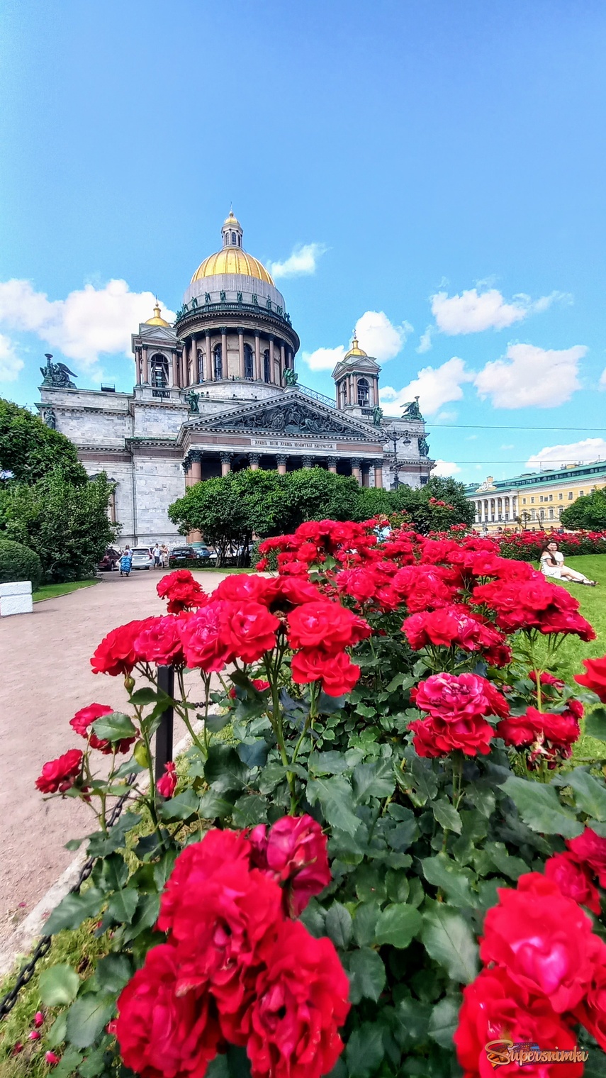 6946836caed840ba3a011ca6