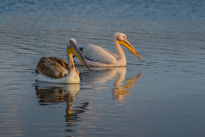 Вечером на озере