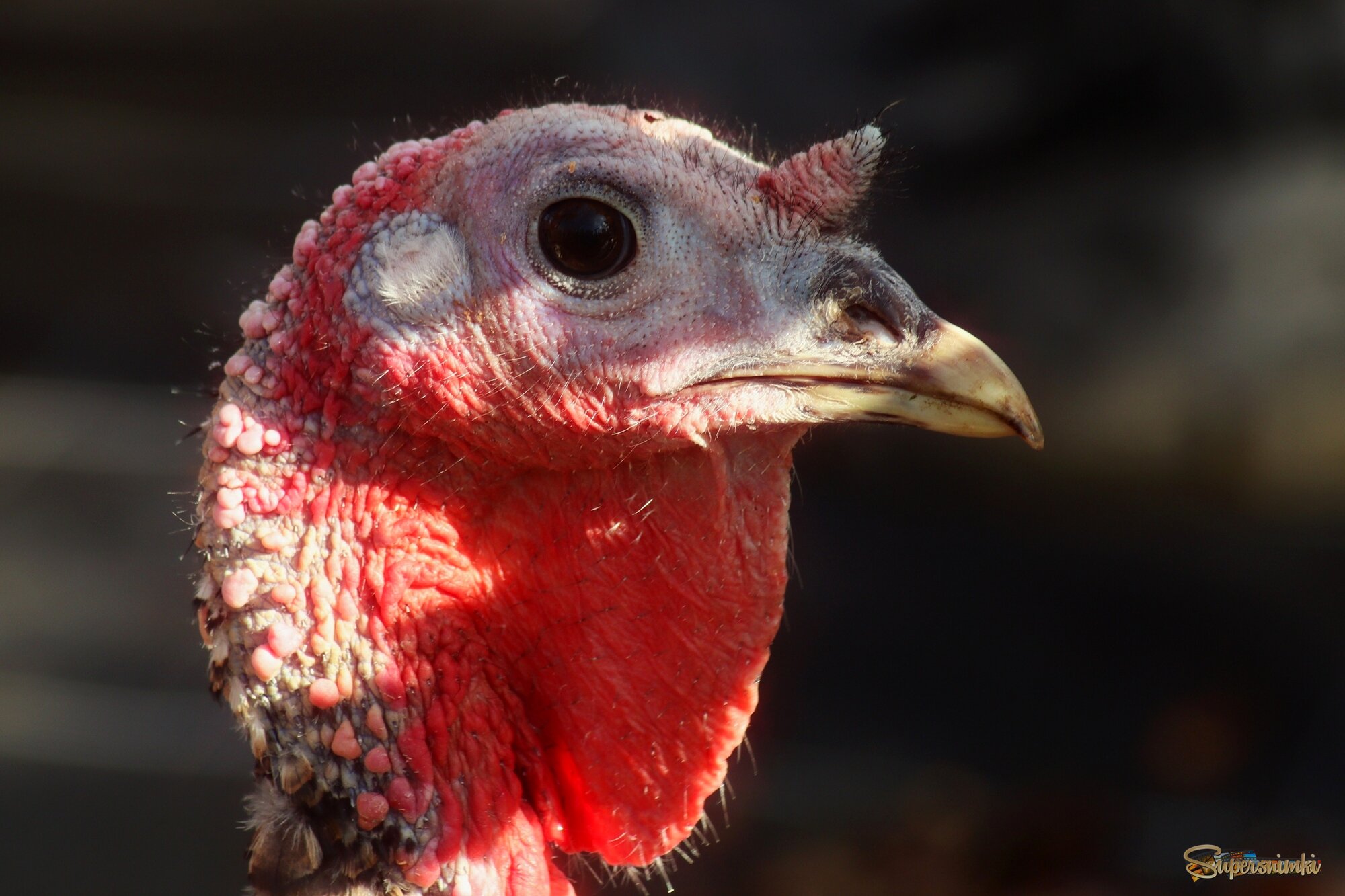 Вы что то хотели?