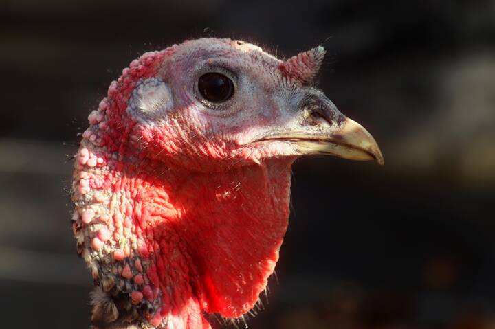 Вы что то хотели?