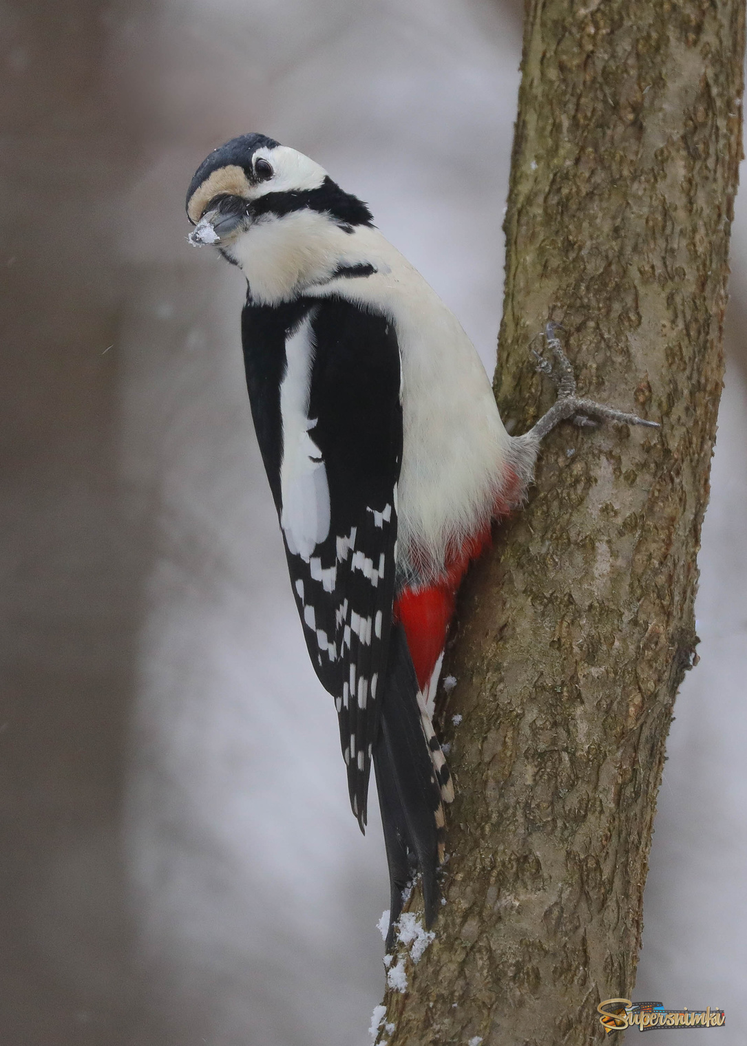 Осмотр местности