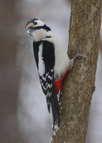 Осмотр местности