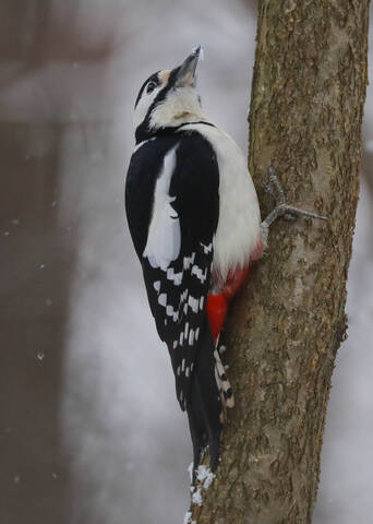 Осмотр местности