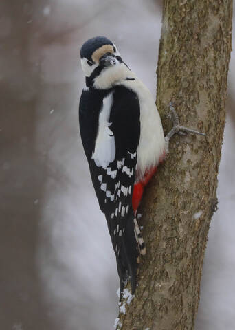 Осмотр местности