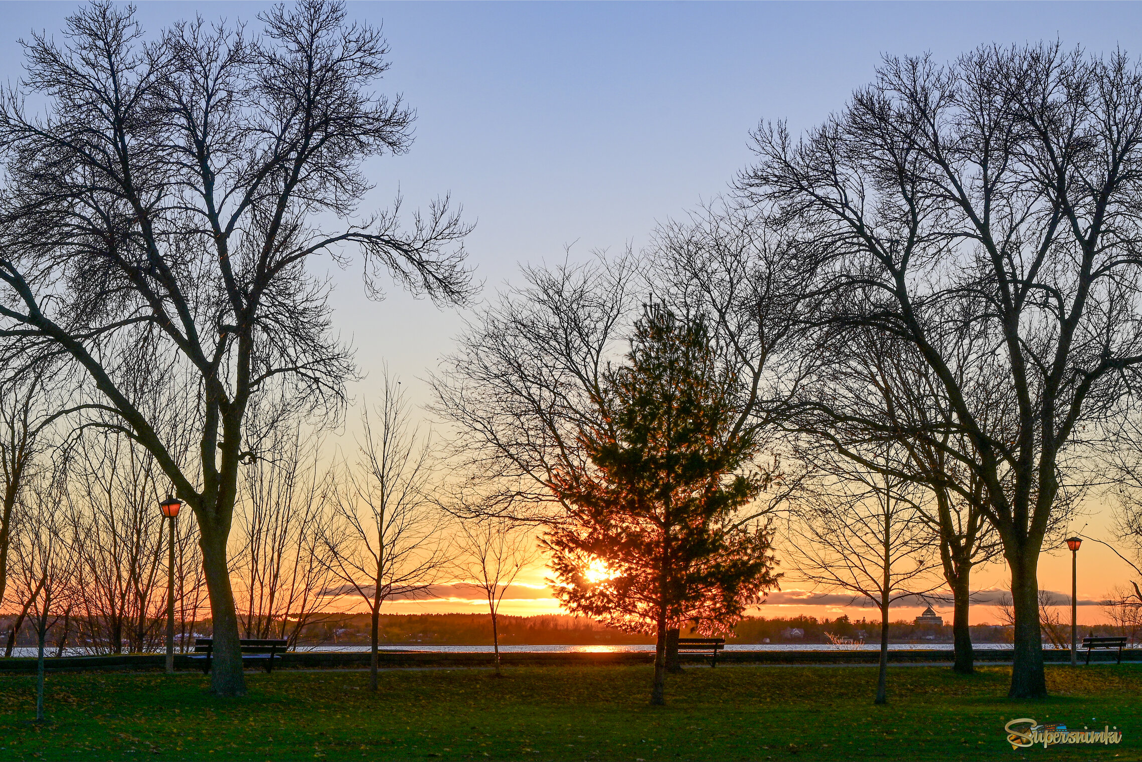 Прозрачны кроны на закате