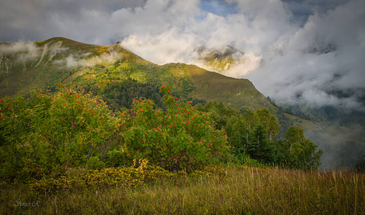 В горах Красной Поляны...