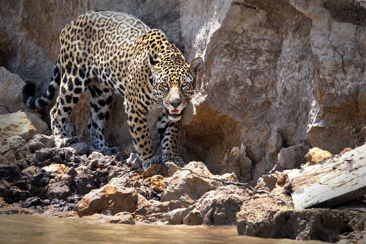 Встреча глазами