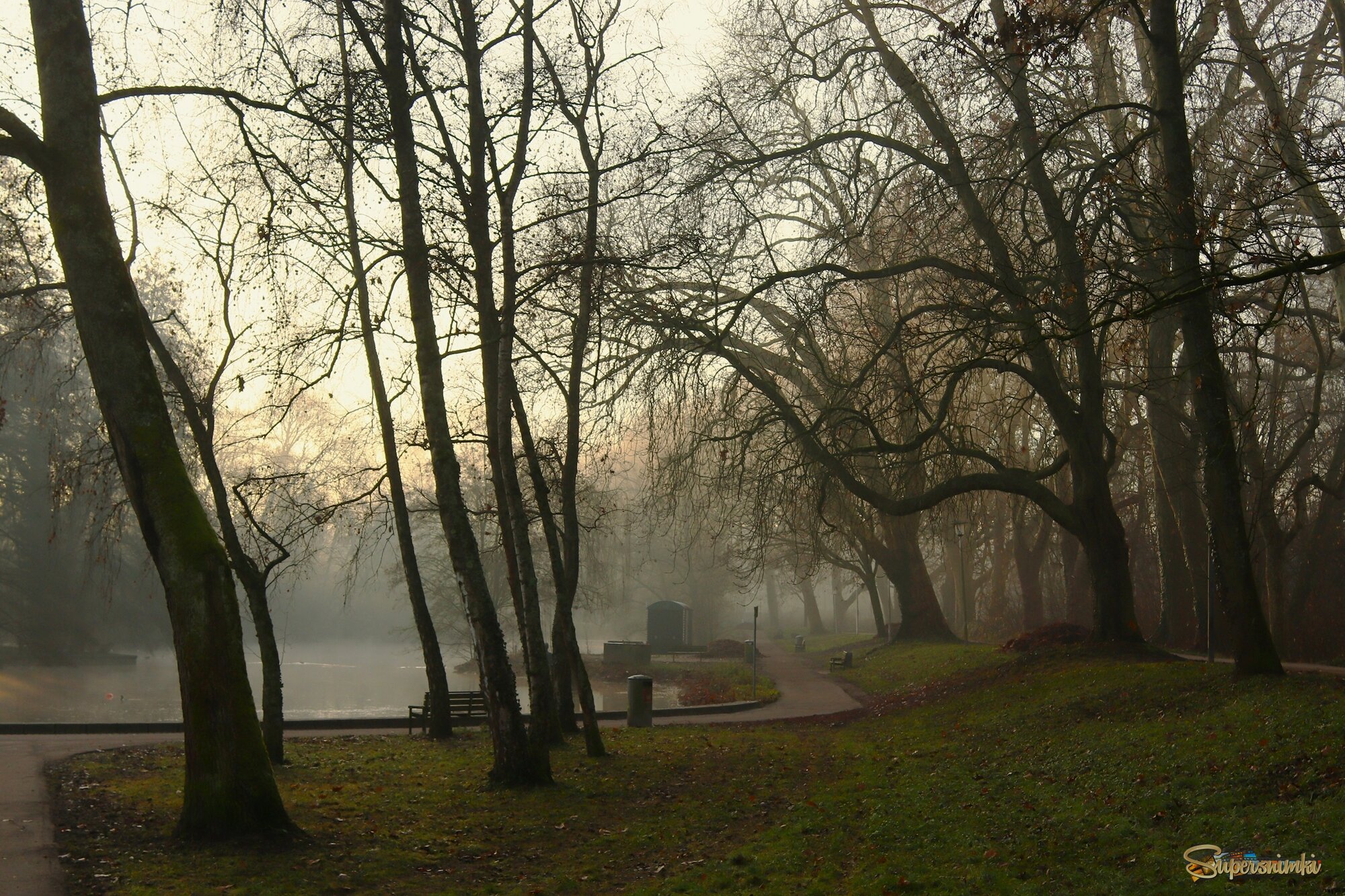 Утро декабря