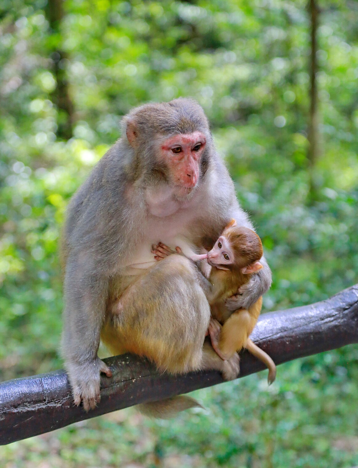 обеденный перерыв