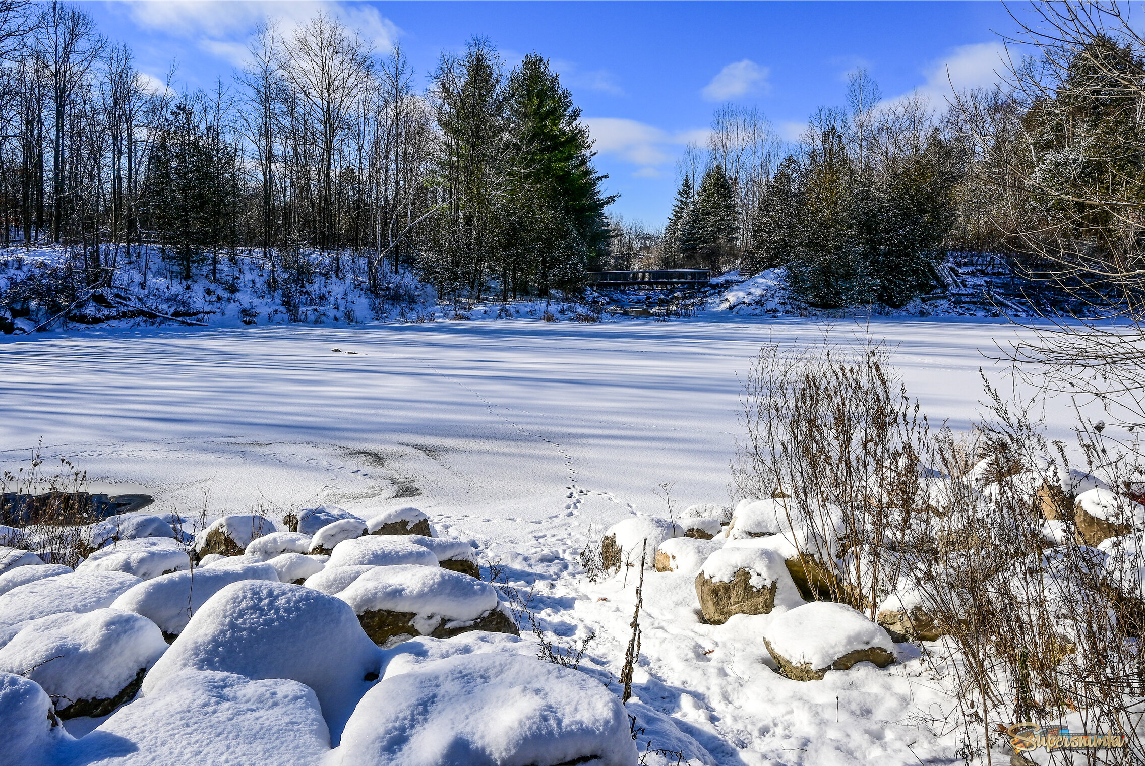 Брега каменистые